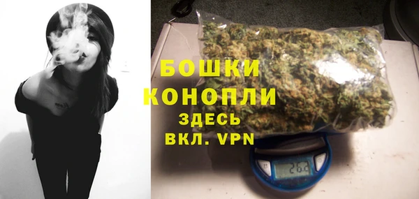 индика Пересвет