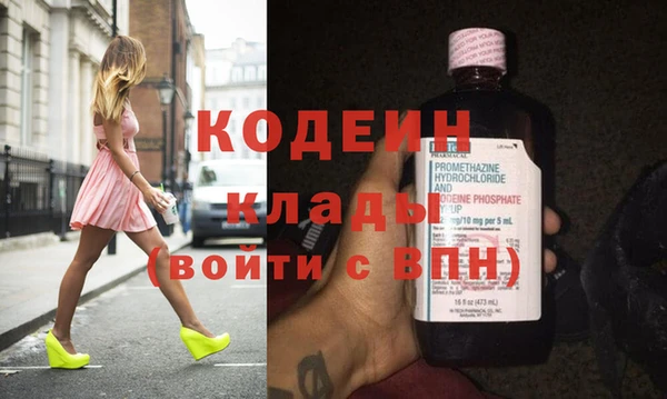 хмурый Бородино