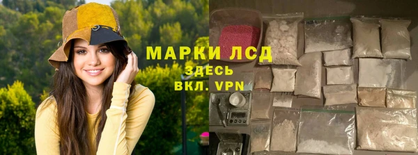 хмурый Бородино